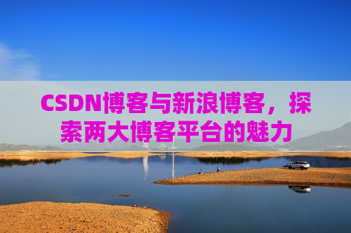 CSDN博客与新浪博客，探索两大博客平台的魅力